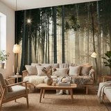 Wall Murals: Glow in the woods 7