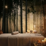 Wall Murals: Glow in the woods 8