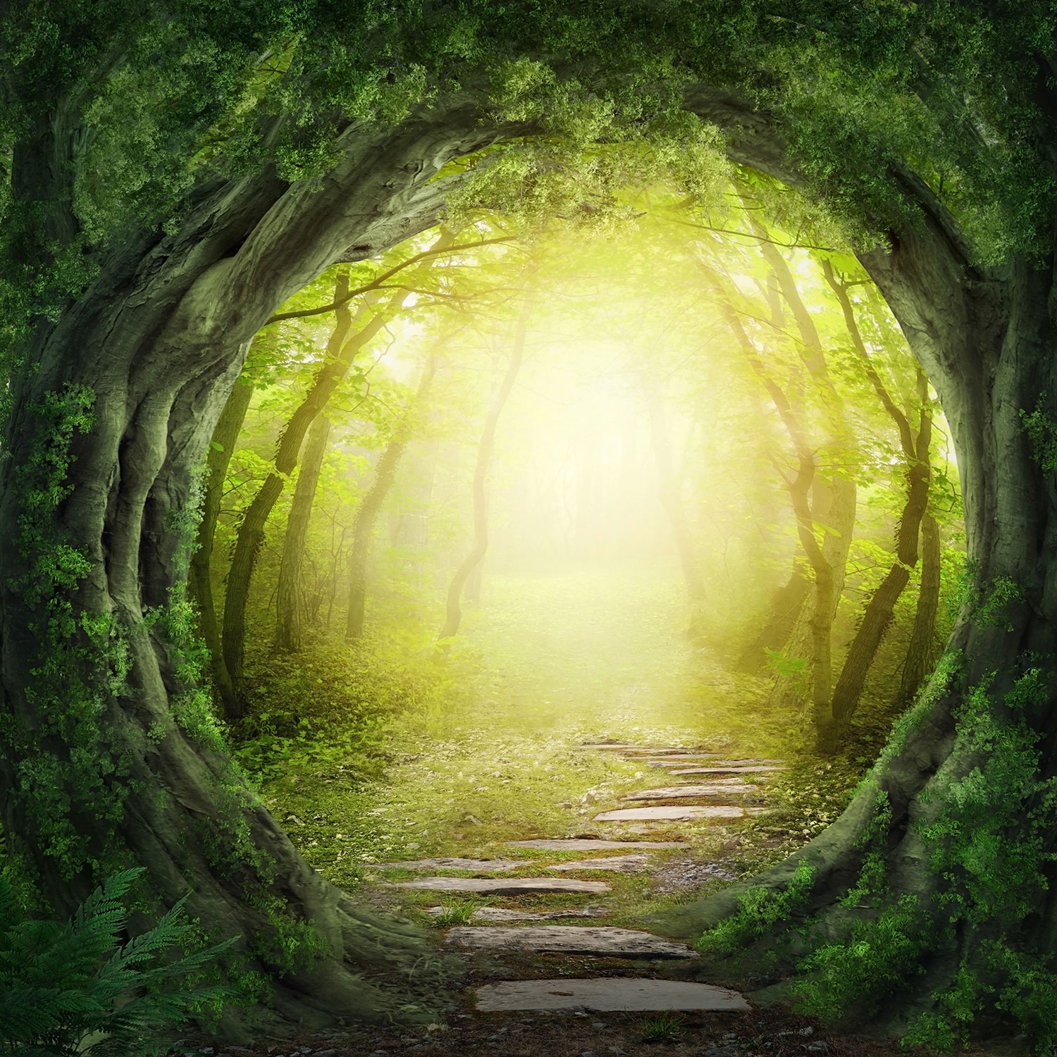 Wall Murals: The Lost Forests