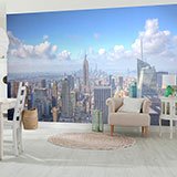 Wall Murals: Heart of New York 2