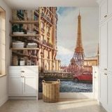Wall Murals: Old quarter of Paris 6