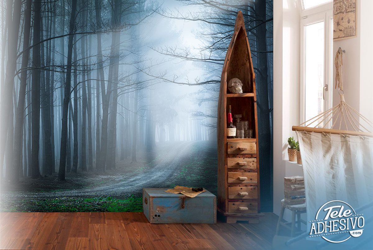 Wall Murals: The black forest