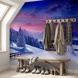 Wall Murals: Cottage in the Alps 3