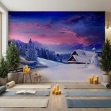 Wall Murals: Cottage in the Alps 4