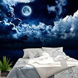 Wall Murals: Full moon over the ocean 2