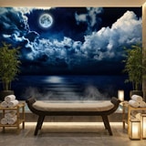 Wall Murals: Full moon over the ocean 14