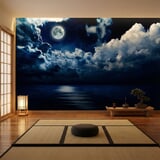 Wall Murals: Full moon over the ocean 4