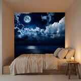 Wall Murals: Full moon over the ocean 5