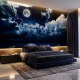 Wall Murals: Full moon over the ocean 7