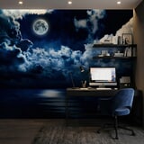 Wall Murals: Full moon over the ocean 9