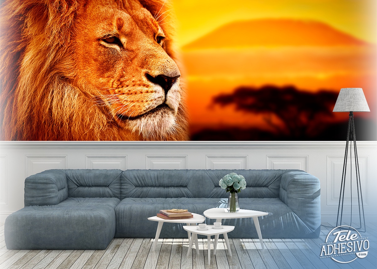 Wall Murals: Panoramic African Lion