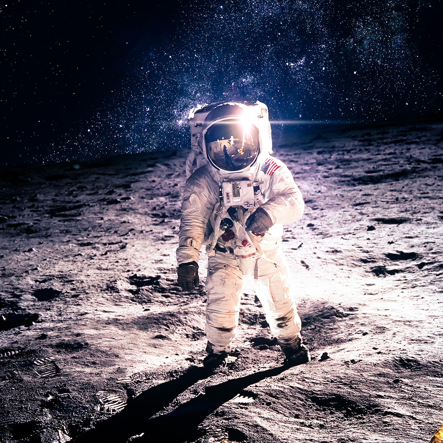 Wall Murals: Armstrong on the Moon