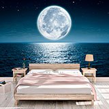 Wall Murals: Full Moon Night 2