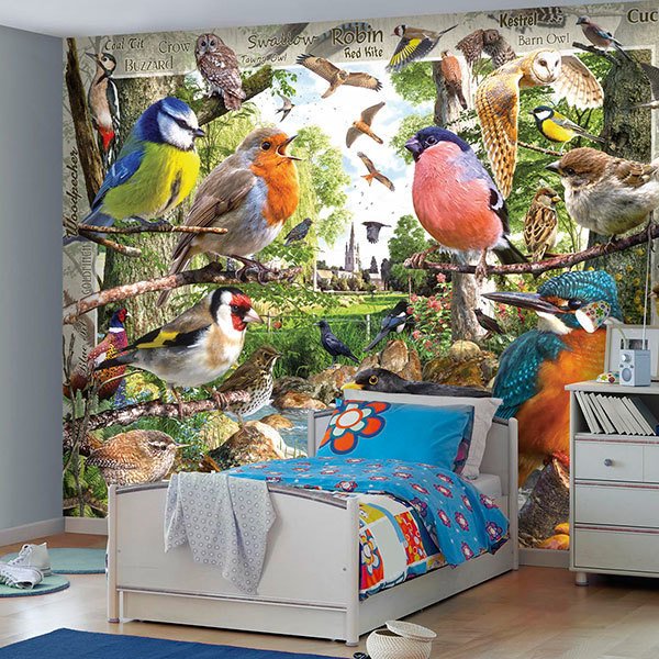 Wall Murals: Bird Catalogue