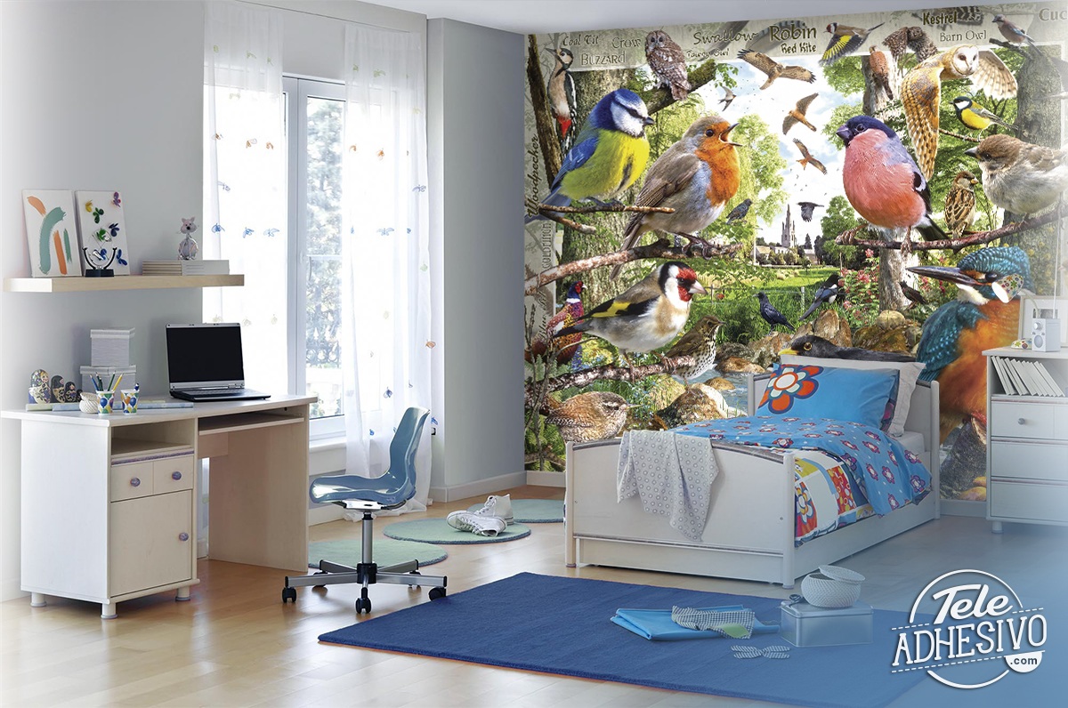 Wall Murals: Bird Catalogue