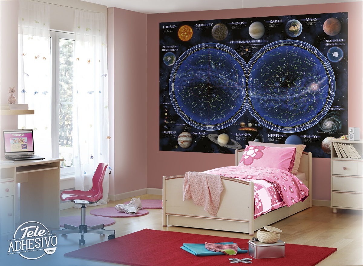 Wall Murals: Celestial Planisphere