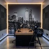 Wall Murals: Manhattan in black and white 19