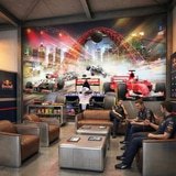 Wall Murals: Formula 1 race 13