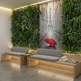 Wall Murals: Rain in Paris 11