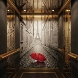 Wall Murals: Rain in Paris 12