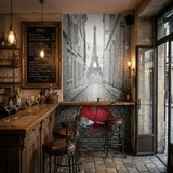 Wall Murals: Rain in Paris 14