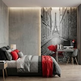 Wall Murals: Rain in Paris 15