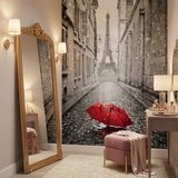 Wall Murals: Rain in Paris 9