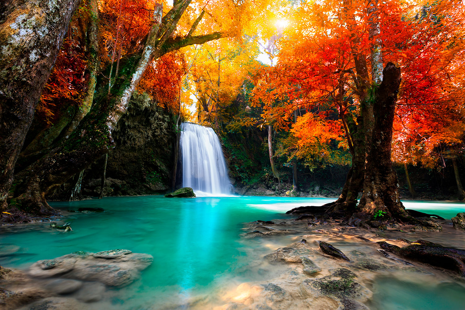 Wall Murals: Deep waterfall in autumn