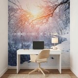 Wall Murals: Dawn in winter 12