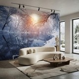 Wall Murals: Dawn in winter 20
