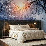 Wall Murals: Dawn in winter 5