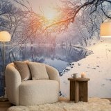 Wall Murals: Dawn in winter 6