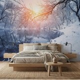 Wall Murals: Dawn in winter 7