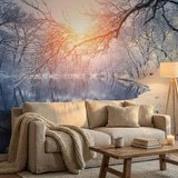 Wall Murals: Dawn in winter 10