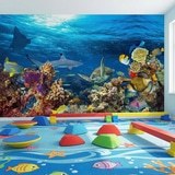 Wall Murals: Turtle in marine currents 16