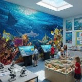 Wall Murals: Turtle in marine currents 6