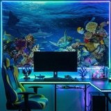 Wall Murals: Turtle in marine currents 9