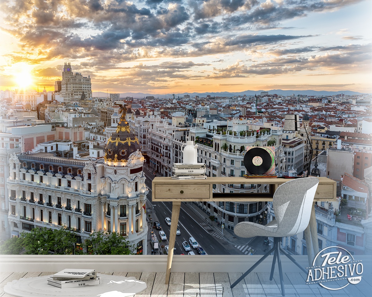 Wall Murals: The Great Way of Madrid