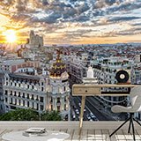 Wall Murals: The Great Way of Madrid 2