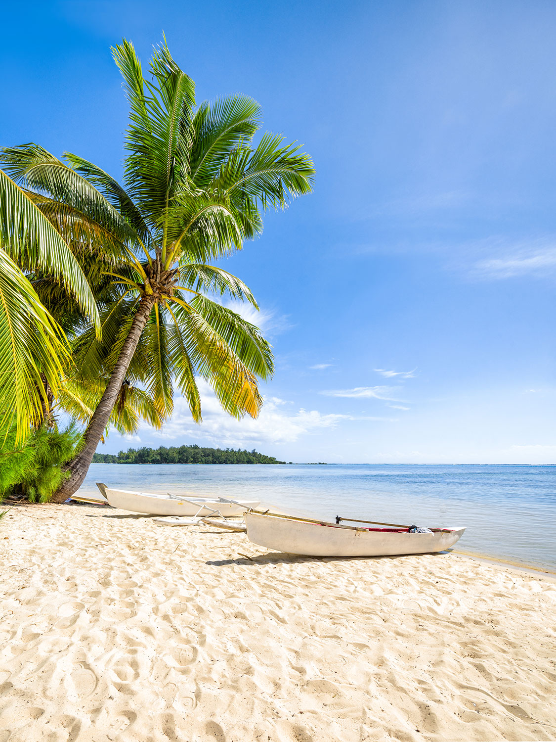 Wall Murals: Canoes in the Caribbean