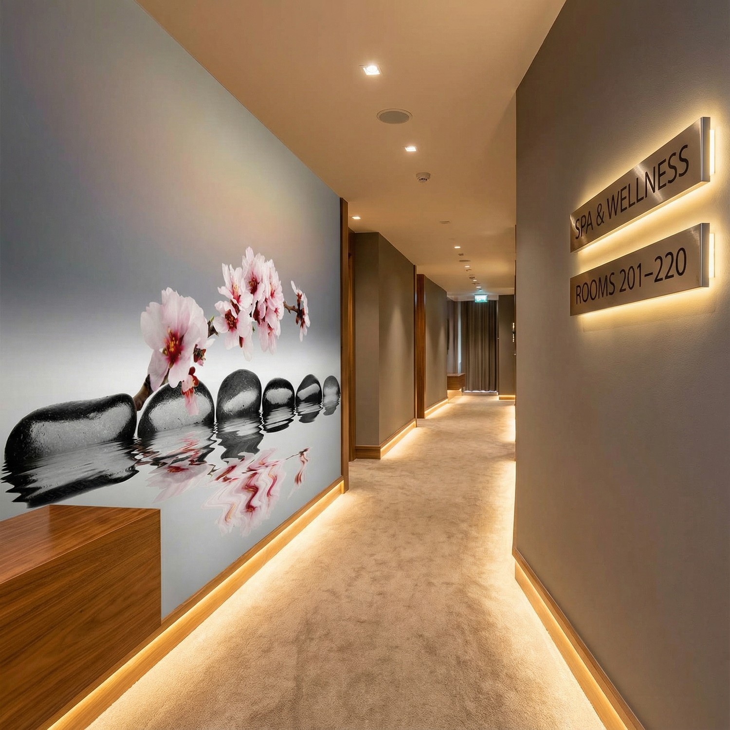 Wall Murals: Zen Orchids