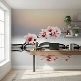 Wall Murals: Zen Orchids 15