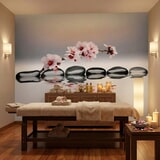 Wall Murals: Zen Orchids 6