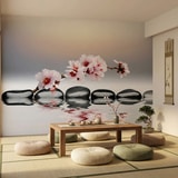 Wall Murals: Zen Orchids 7