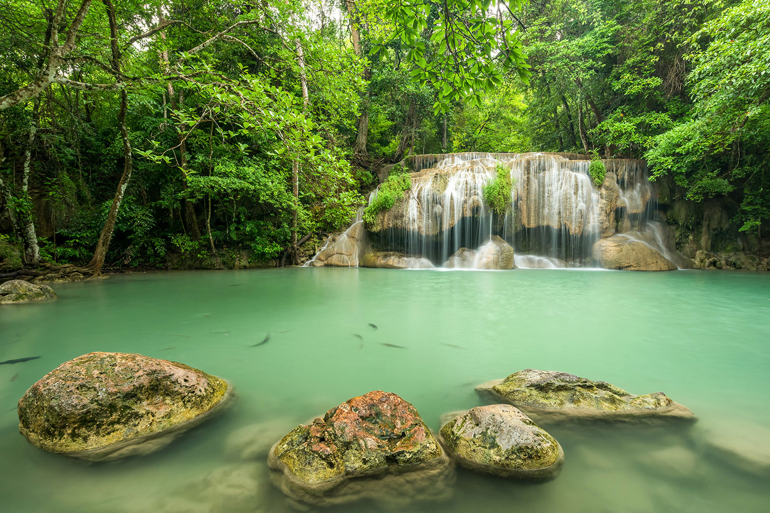 Wall Murals: Erawan Park Waterfall