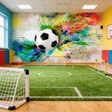 Wall Murals: Classic Soccer Ball 4
