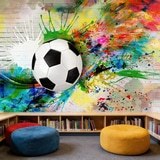 Wall Murals: Classic Soccer Ball 5
