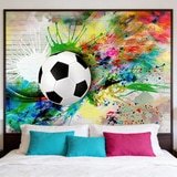 Wall Murals: Classic Soccer Ball 6