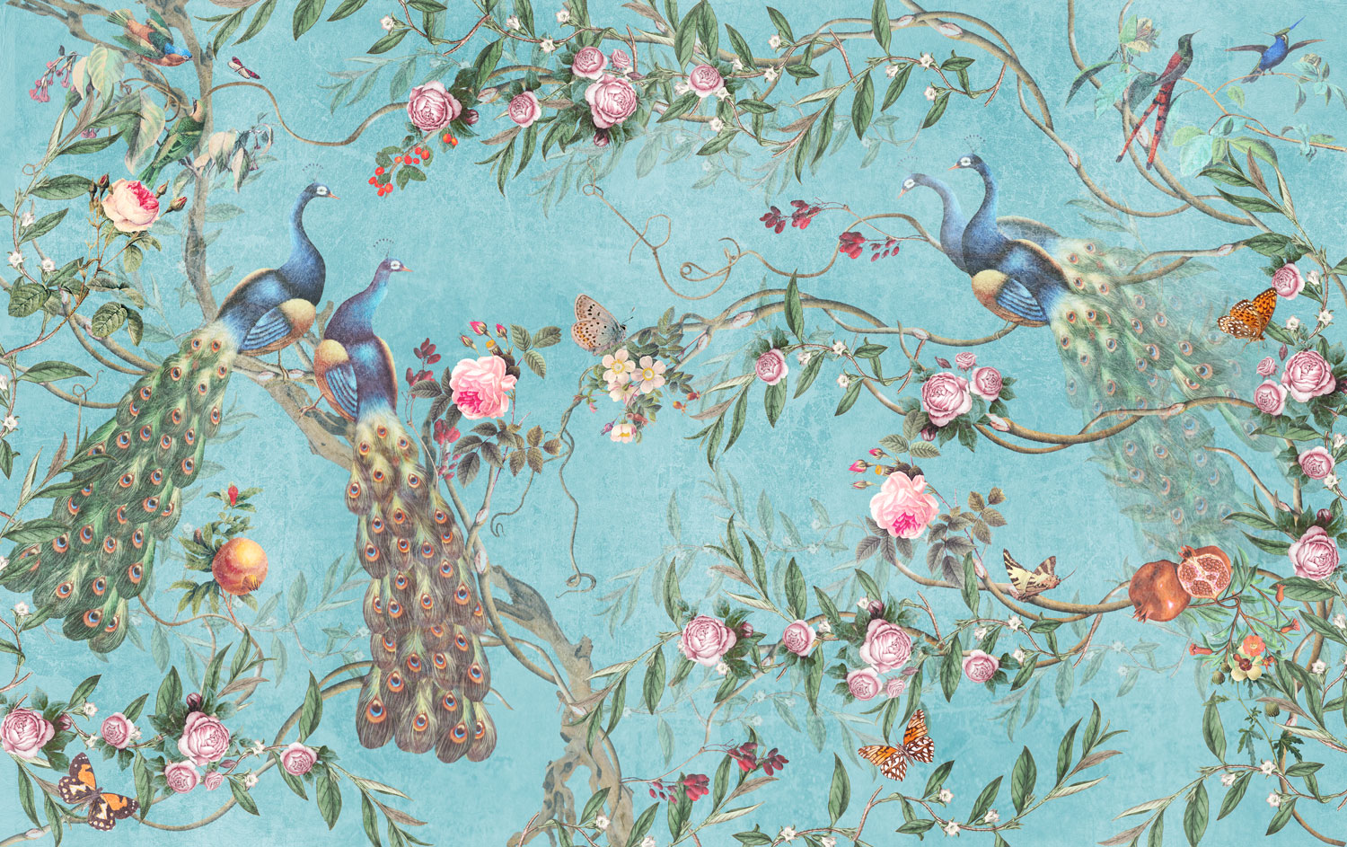 Wall Murals: Peacocks