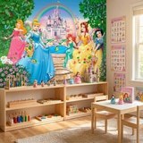 Wall Murals: Princesses and Disney Castle 14